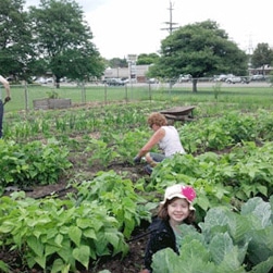 Garden Livingston