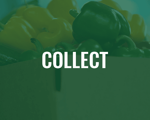 Collect Rollover