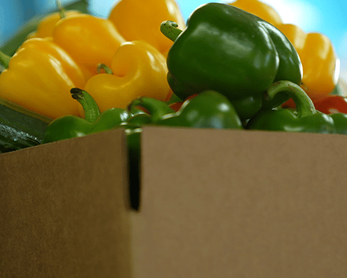 Fresh Veggies