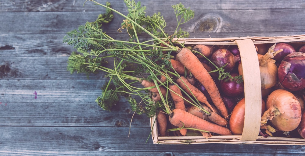 BLOG CookingMatters Eating Seasonally