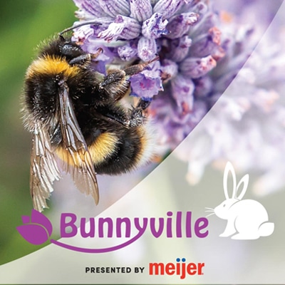 WEB Event Bunnyville