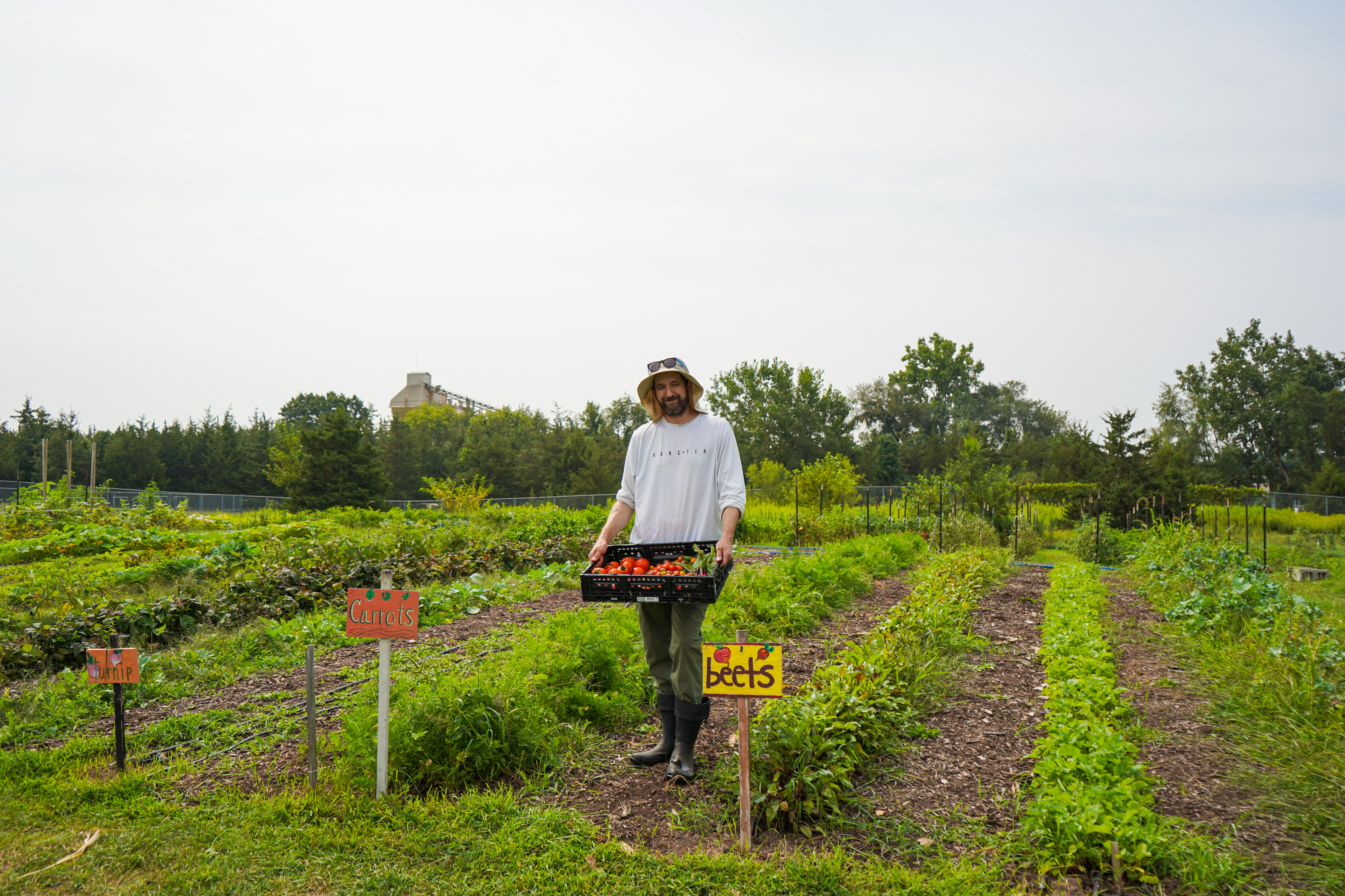 Livingston Victory Garden