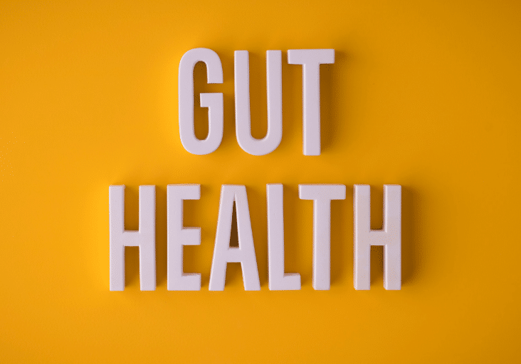 Blog FeaturedImage GutHealth